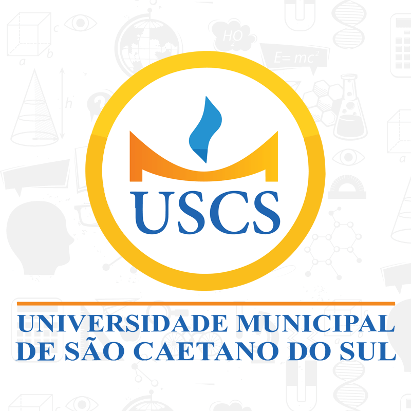 Anna Civolani Faz revisão de TCC de Ciência da Computação
